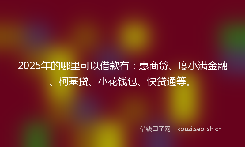2025年的哪里可以借款有：惠商贷、度小满金融、柯基贷、小花钱包、快贷通等。