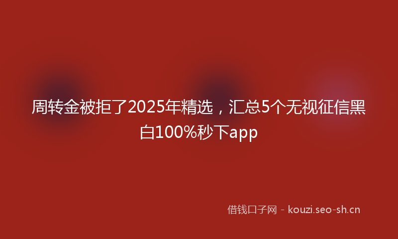 周转金被拒了2025年精选，汇总5个无视征信黑白100%秒下app