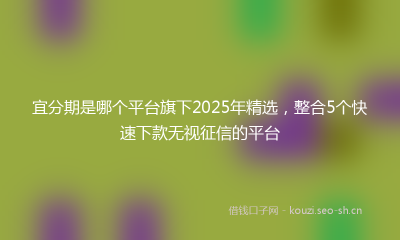 宜分期是哪个平台旗下2025年精选，整合5个快速下款无视征信的平台