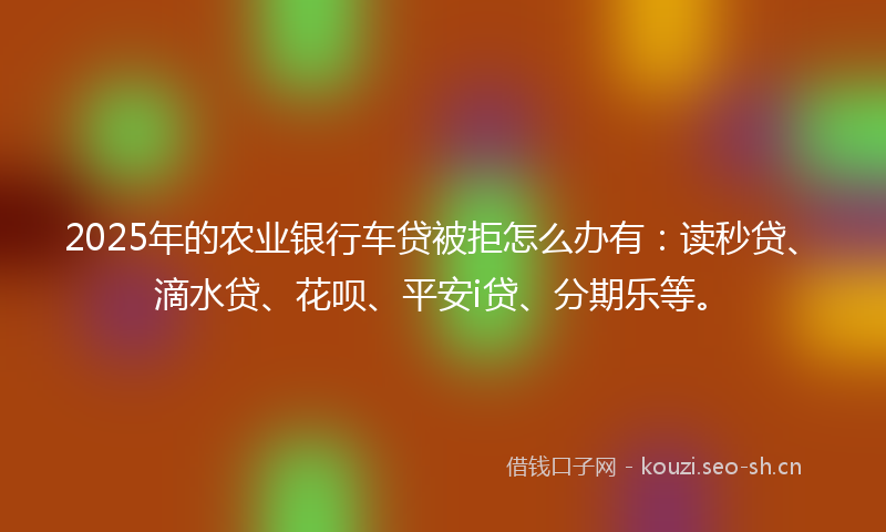 2025年的农业银行车贷被拒怎么办有：读秒贷、滴水贷、花呗、平安i贷、分期乐等。