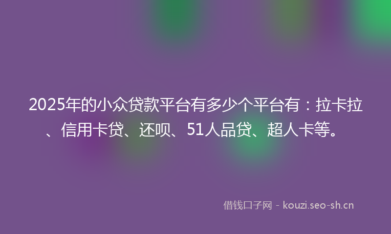 2025年的小众贷款平台有多少个平台有：拉卡拉、信用卡贷、还呗、51人品贷、超人卡等。