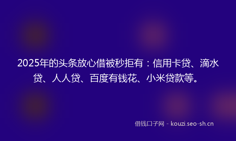 2025年的头条放心借被秒拒有：信用卡贷、滴水贷、人人贷、百度有钱花、小米贷款等。