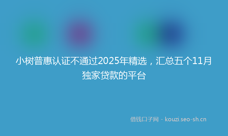 小树普惠认证不通过2025年精选，汇总五个11月独家贷款的平台