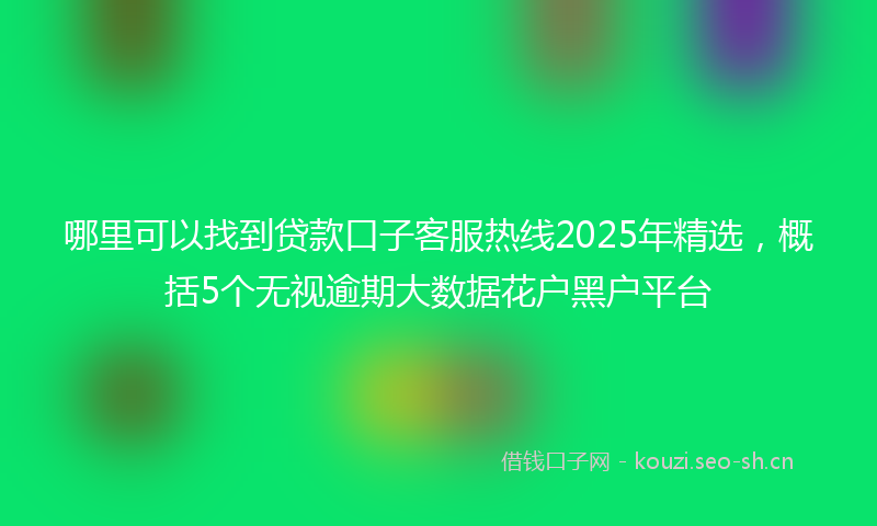 哪里可以找到贷款口子客服热线2025年精选，概括5个无视逾期大数据花户黑户平台