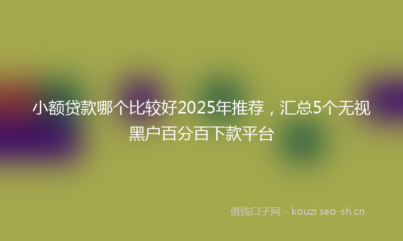 小额贷款哪个比较好2025年推荐，汇总5个无视黑户百分百下款平台