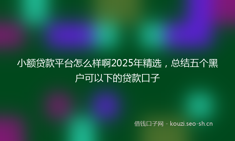 小额贷款平台怎么样啊2025年精选，总结五个黑户可以下的贷款口子