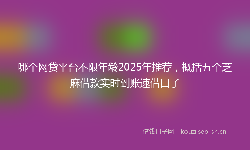 哪个网贷平台不限年龄2025年推荐，概括五个芝麻借款实时到账速借口子