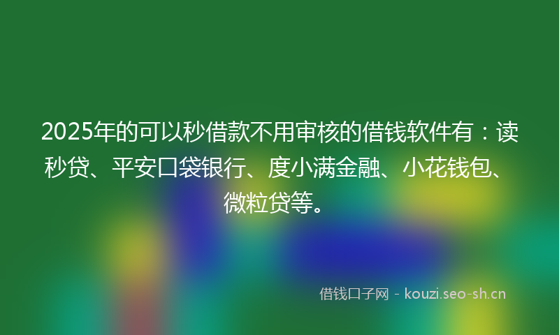 2025年的可以秒借款不用审核的借钱软件有：读秒贷、平安口袋银行、度小满金融、小花钱包、微粒贷等。