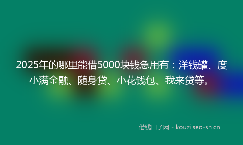 2025年的哪里能借5000块钱急用有：洋钱罐、度小满金融、随身贷、小花钱包、我来贷等。
