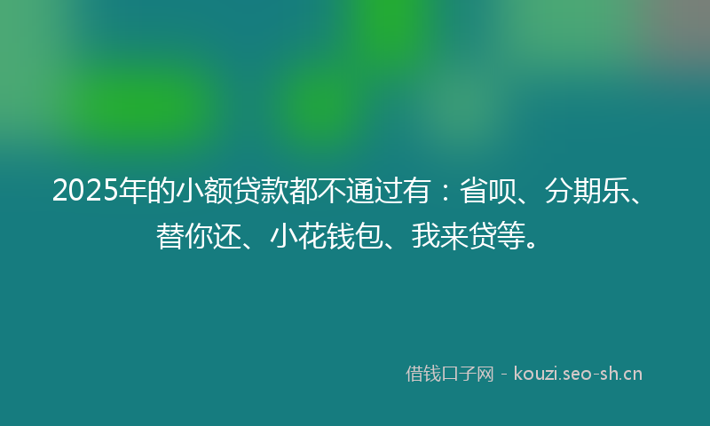 2025年的小额贷款都不通过有：省呗、分期乐、替你还、小花钱包、我来贷等。