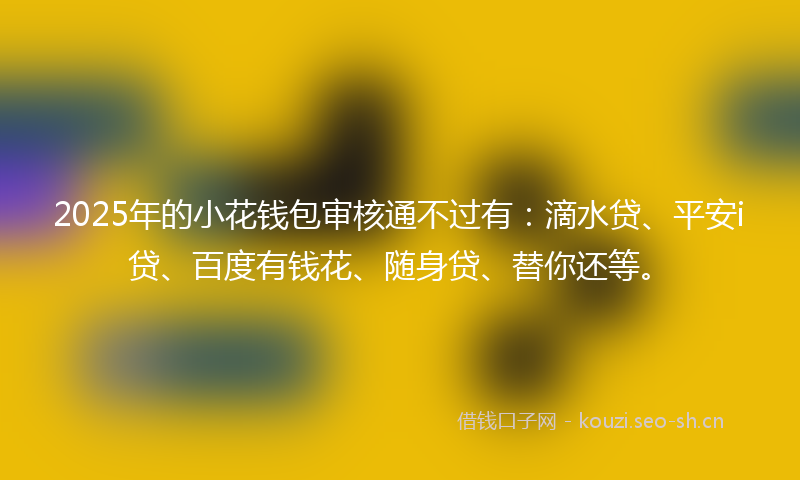 2025年的小花钱包审核通不过有：滴水贷、平安i贷、百度有钱花、随身贷、替你还等。