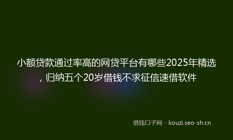 小额贷款通过率高的网贷平台有哪些2025年精选，归纳五个20岁借钱不求征信速借软件