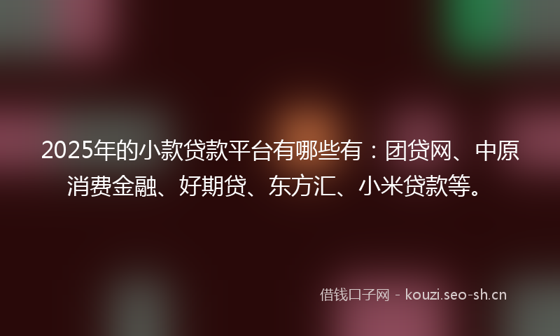 2025年的小款贷款平台有哪些有：团贷网、中原消费金融、好期贷、东方汇、小米贷款等。