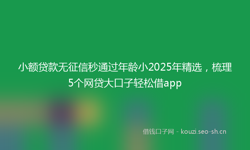 小额贷款无征信秒通过年龄小2025年精选，梳理5个网贷大口子轻松借app