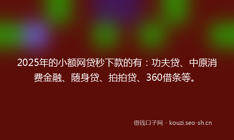 2025年的小额网贷秒下款的有：功夫贷、中原消费金融、随身贷、拍拍贷、360借条等。