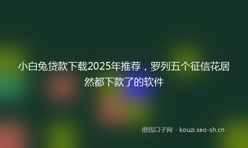 小白兔贷款下载2025年推荐，罗列五个征信花居然都下款了的软件