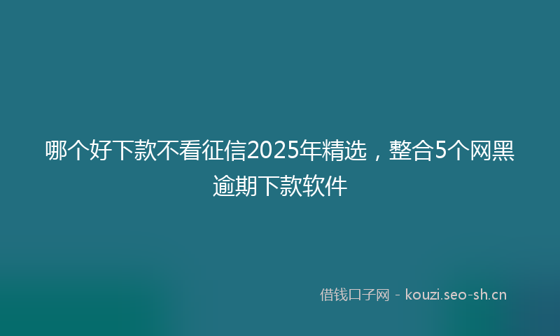 哪个好下款不看征信2025年精选，整合5个网黑逾期下款软件