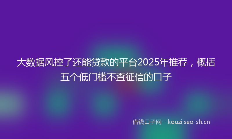 大数据风控了还能贷款的平台2025年推荐,概括五个低门槛不查征信的口子