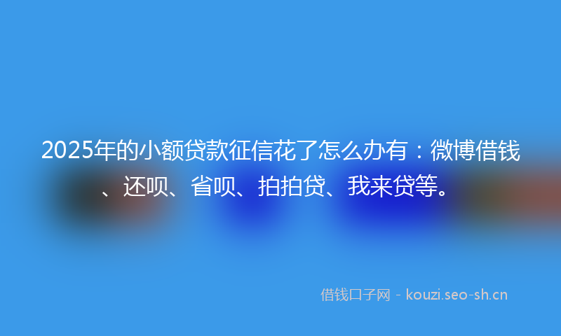 2025年的小额贷款征信花了怎么办有：微博借钱、还呗、省呗、拍拍贷、我来贷等。