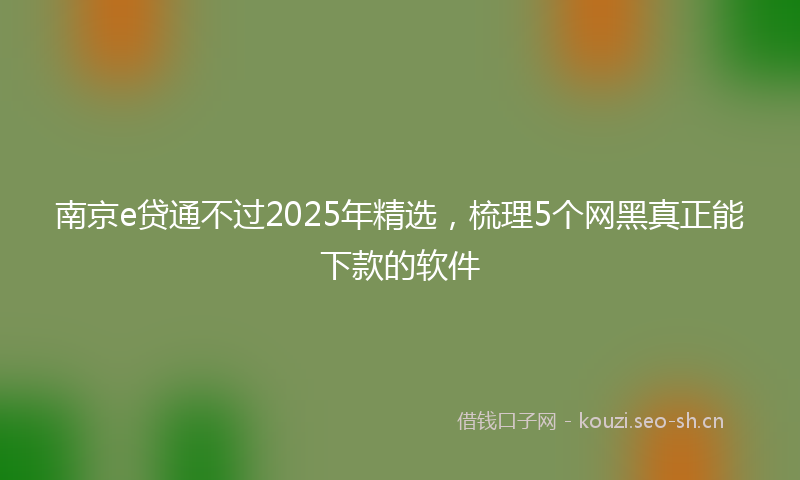 南京e贷通不过2025年精选，梳理5个网黑真正能下款的软件