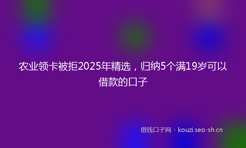 农业领卡被拒2025年精选，归纳5个满19岁可以借款的口子