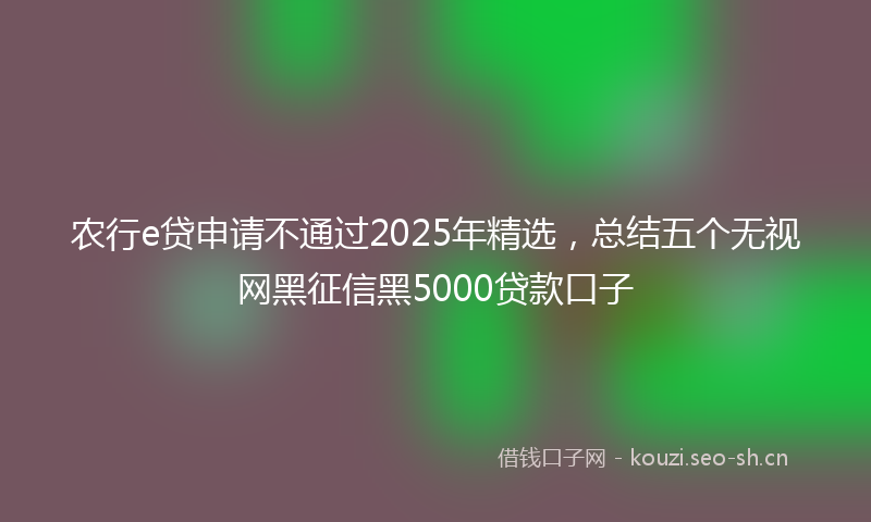 农行e贷申请不通过2025年精选，总结五个无视网黑征信黑5000贷款口子
