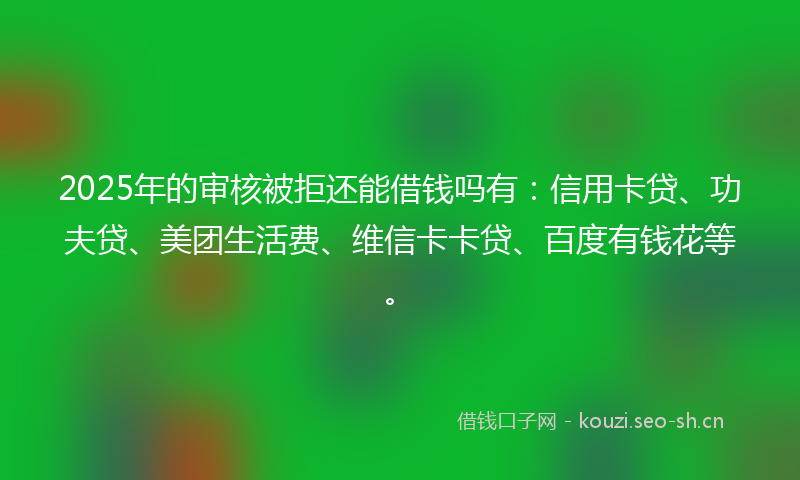 2025年的审核被拒还能借钱吗有:信用卡贷、功夫贷、美团生活费、维信卡卡贷、百度有钱花等。