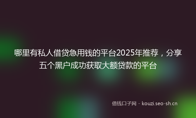 哪里有私人借贷急用钱的平台2025年推荐，分享五个黑户成功获取大额贷款的平台