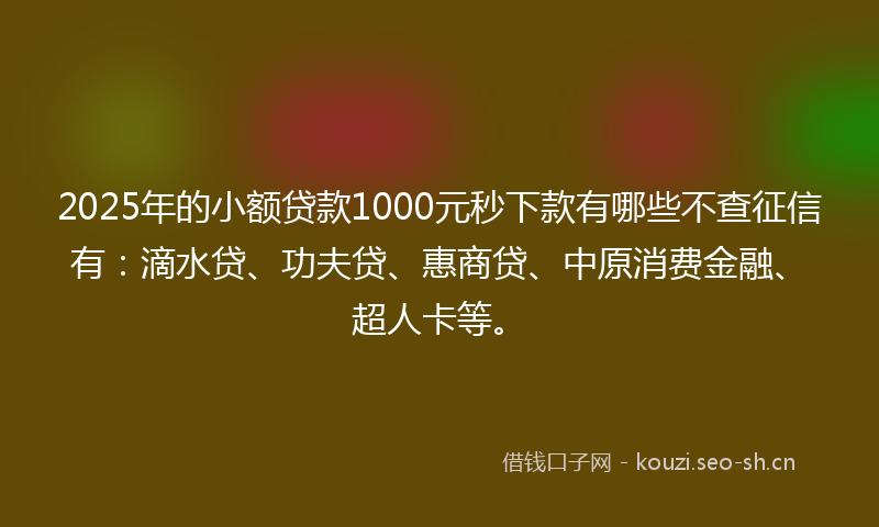 2025年的小额贷款1000元秒下款有哪些不查征信有：滴水贷、功夫贷、惠商贷、中原消费金融、超人卡等。