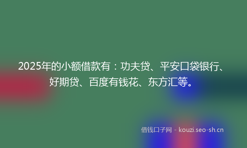 2025年的小额借款有：功夫贷、平安口袋银行、好期贷、百度有钱花、东方汇等。