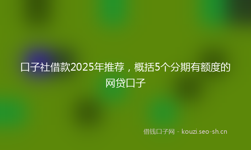 口子社借款2025年推荐，概括5个分期有额度的网贷口子