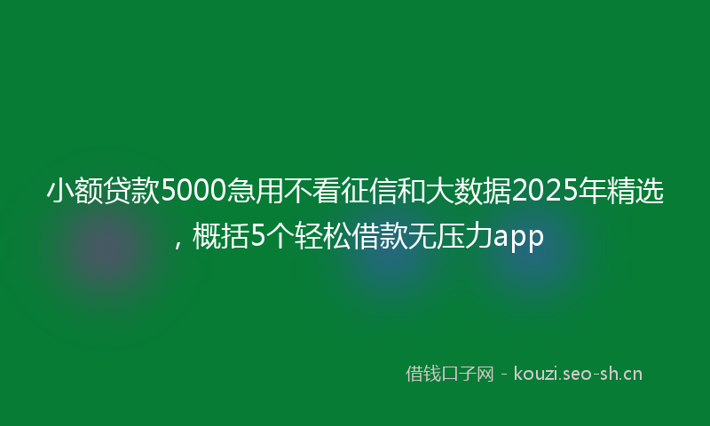 小额贷款5000急用不看征信和大数据2025年精选,概括5个轻松借款无压力app