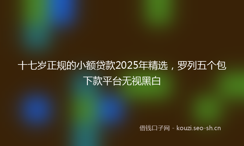 十七岁正规的小额贷款2025年精选，罗列五个包下款平台无视黑白