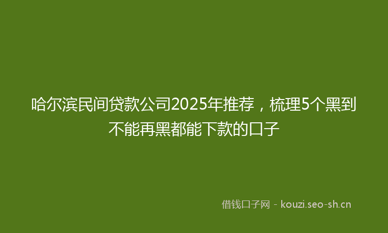 哈尔滨民间贷款公司2025年推荐,梳理5个黑到不能再黑都能下款的口子