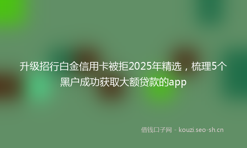 升级招行白金信用卡被拒2025年精选，梳理5个黑户成功获取大额贷款的app
