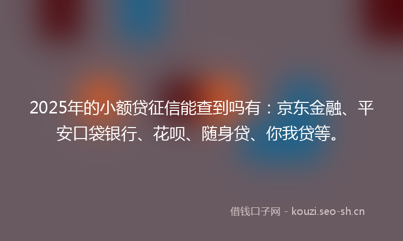 2025年的小额贷征信能查到吗有：京东金融、平安口袋银行、花呗、随身贷、你我贷等。