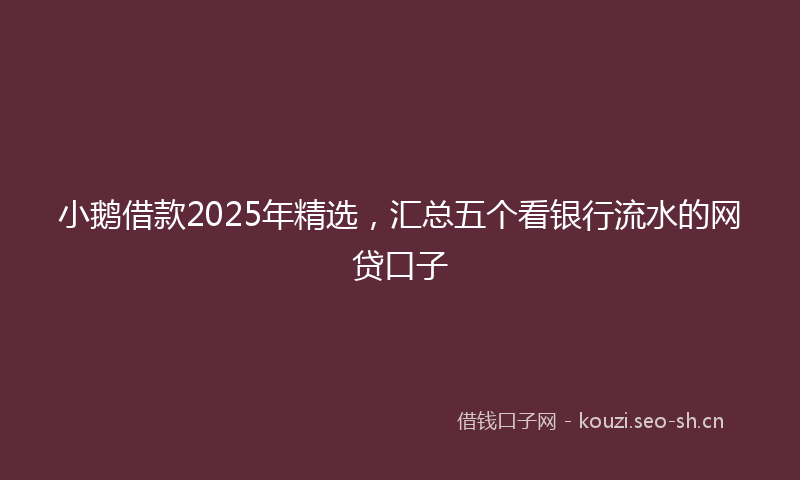 小鹅借款2025年精选，汇总五个看银行流水的网贷口子