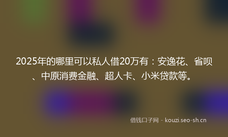 2025年的哪里可以私人借20万有：安逸花、省呗、中原消费金融、超人卡、小米贷款等。