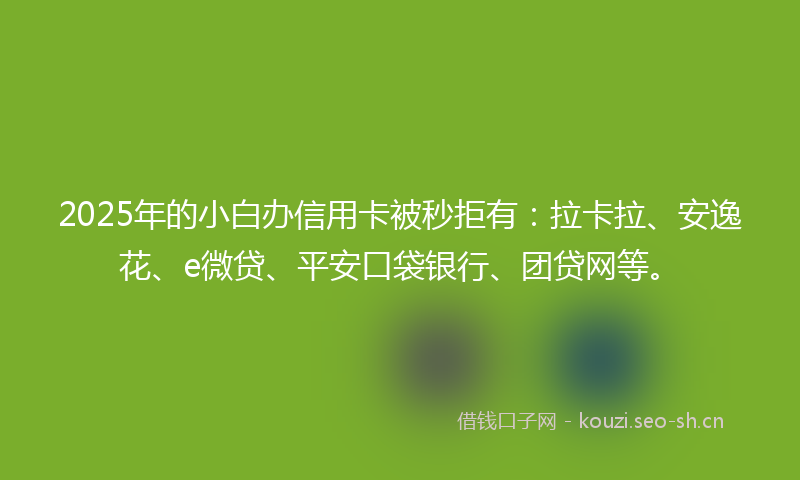 2025年的小白办信用卡被秒拒有：拉卡拉、安逸花、e微贷、平安口袋银行、团贷网等。