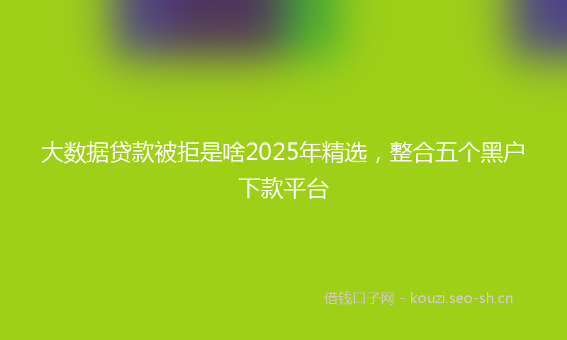 大数据贷款被拒是啥2025年精选，整合五个黑户下款平台