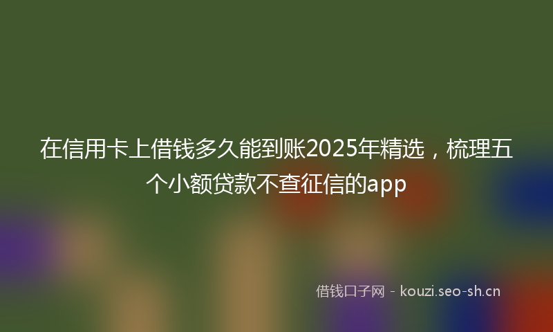 在信用卡上借钱多久能到账2025年精选，梳理五个小额贷款不查征信的app