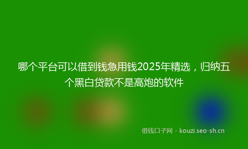 哪个平台可以借到钱急用钱2025年精选，归纳五个黑白贷款不是高炮的软件