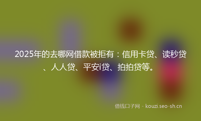 2025年的去哪网借款被拒有：信用卡贷、读秒贷、人人贷、平安i贷、拍拍贷等。