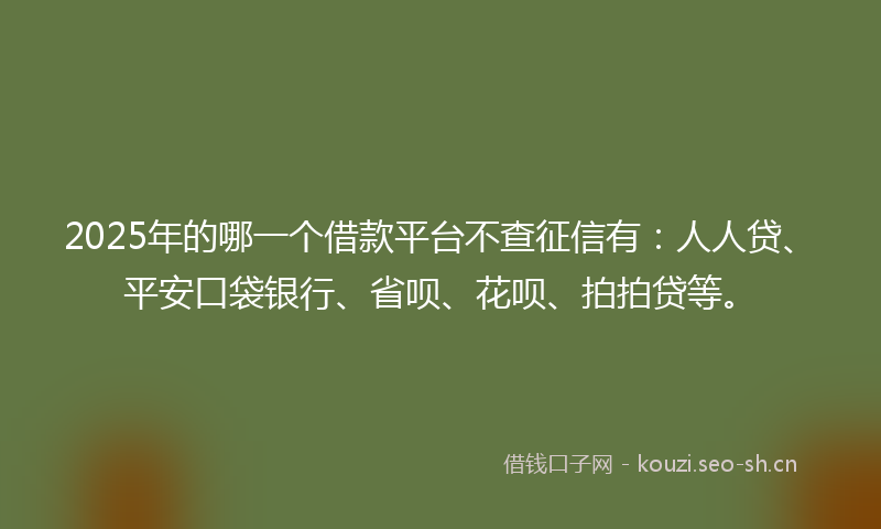 2025年的哪一个借款平台不查征信有：人人贷、平安口袋银行、省呗、花呗、拍拍贷等。