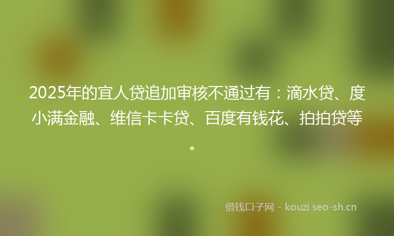 2025年的宜人贷追加审核不通过有：滴水贷、度小满金融、维信卡卡贷、百度有钱花、拍拍贷等。