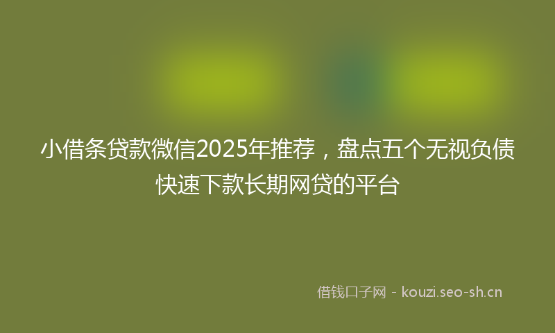 小借条贷款微信2025年推荐，盘点五个无视负债快速下款长期网贷的平台