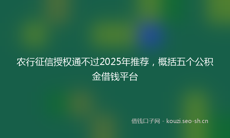 农行征信授权通不过2025年推荐，概括五个公积金借钱平台