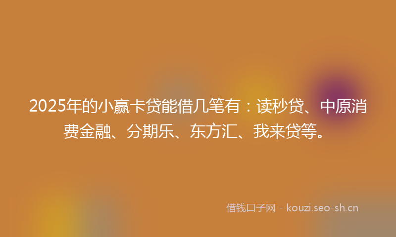 2025年的小赢卡贷能借几笔有：读秒贷、中原消费金融、分期乐、东方汇、我来贷等。