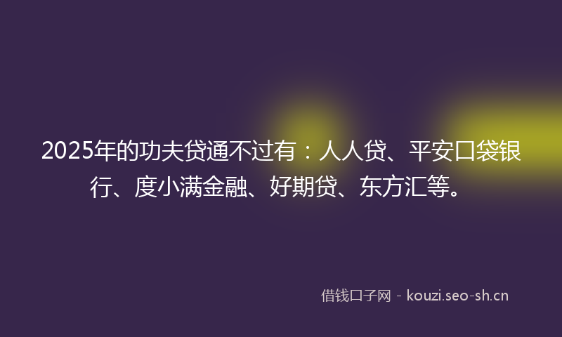 2025年的功夫贷通不过有：人人贷、平安口袋银行、度小满金融、好期贷、东方汇等。