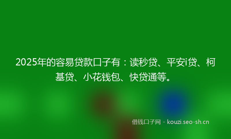 2025年的容易贷款口子有：读秒贷、平安i贷、柯基贷、小花钱包、快贷通等。